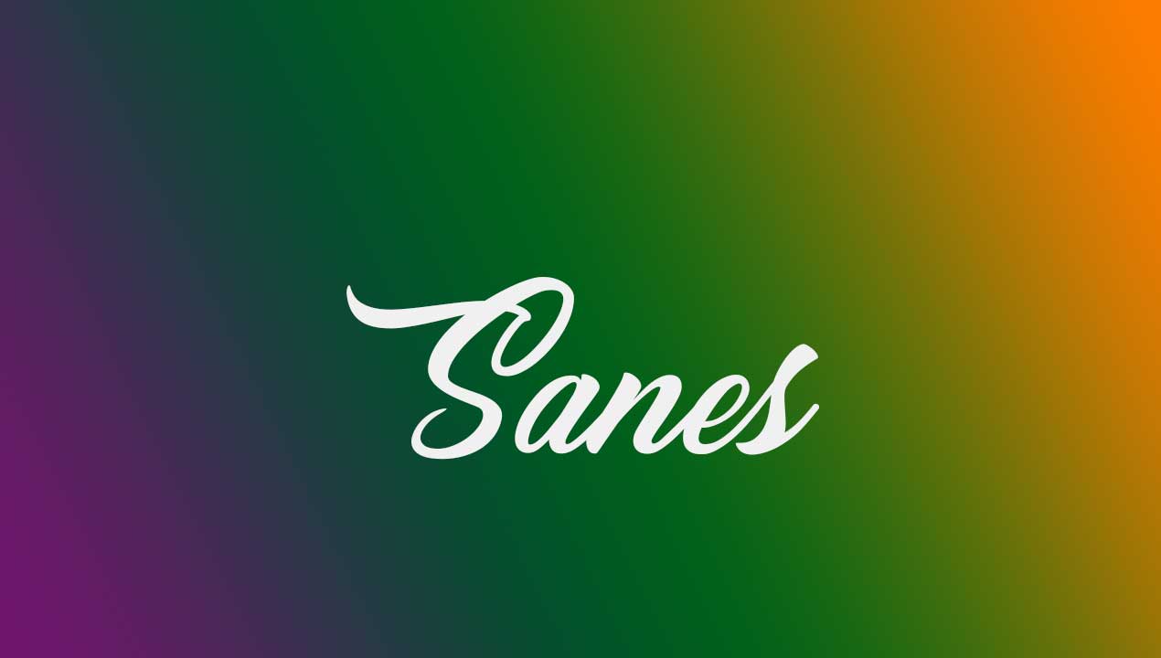 Arti kata sanes dalam bahasa jawa dan penggunaannya