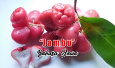 berita-pilihan-foto