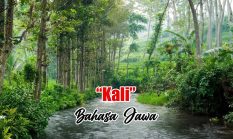 berita-pilihan-foto