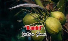 berita-pilihan-foto