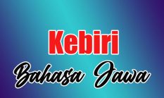 berita-pilihan-foto