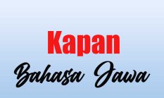berita-pilihan-foto