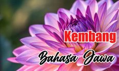 berita-pilihan-foto