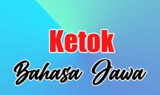 berita-pilihan-foto