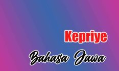 berita-pilihan-foto